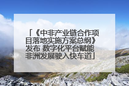 《中非产业链合作项目落地实施方案总纲》发布 数字化平台赋能非洲发展驶入快车道