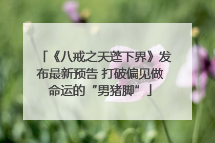 《八戒之天蓬下界》发布最新预告 打破偏见做命运的“男猪脚”