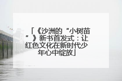 《沙洲的“小树苗”》新书首发式：让红色文化在新时代少年心中绽放