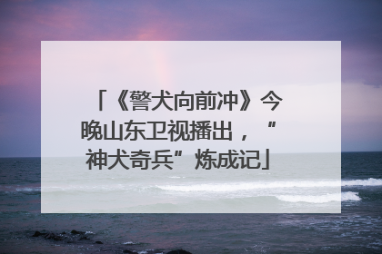 《警犬向前冲》今晚山东卫视播出，“神犬奇兵”炼成记
