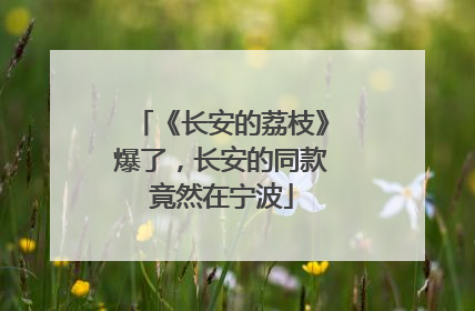 《长安的荔枝》爆了，长安的同款竟然在宁波