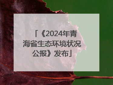 《2024年青海省生态环境状况公报》发布