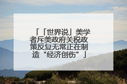 「世界说」美学者斥美政府关税政策反复无常正在制造“经济创伤”