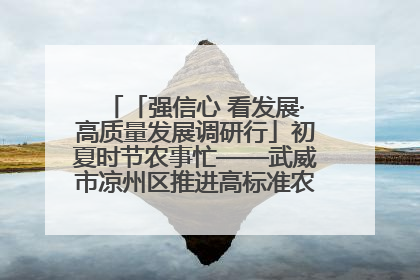 「强信心 看发展·高质量发展调研行」初夏时节农事忙——武威市凉州区推进高标准农田建设见闻