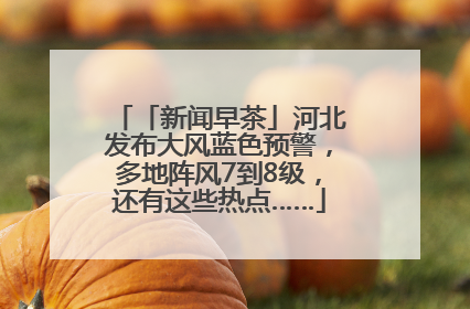 「新闻早茶」河北发布大风蓝色预警，多地阵风7到8级，还有这些热点……