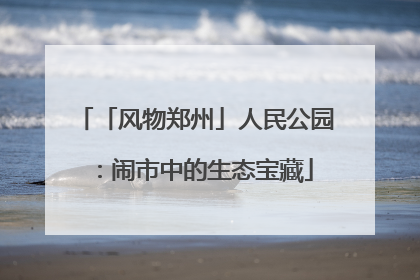 「风物郑州」人民公园：闹市中的生态宝藏