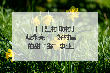 「驻村·助村」戴永亮：干好村里的甜“猕”事业