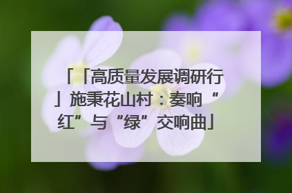 「高质量发展调研行」施秉花山村：奏响“红”与“绿”交响曲