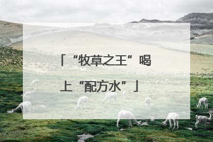 “牧草之王”喝上“配方水”