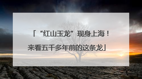 “红山玉龙”现身上海！来看五千多年前的这条龙