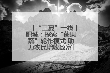“三夏”一线丨肥城：探索“菌果蔬”轮作模式 助力农民增收致富