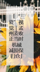 “三夏”视觉｜孟州麦收正当时 机械减损保归仓