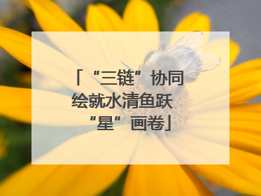 “三链”协同 绘就水清鱼跃“星”画卷