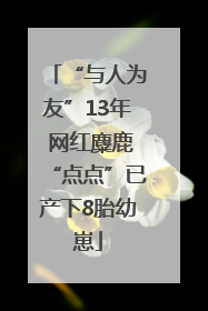 “与人为友”13年 网红麋鹿“点点”已产下8胎幼崽