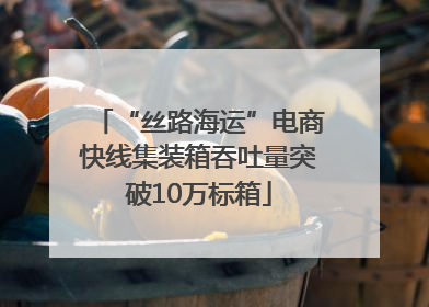 “丝路海运”电商快线集装箱吞吐量突破10万标箱