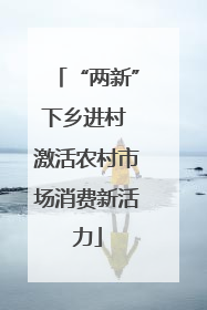 “两新”下乡进村 激活农村市场消费新活力