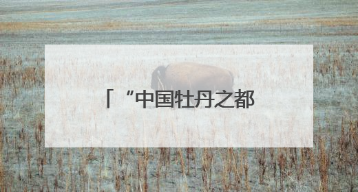 “中国牡丹之都”为“牡丹”立法，《菏泽市牡丹产业发展促进条例（草案建议修改稿）》公开征求意见