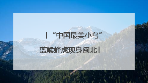 “中国最美小鸟”蓝喉蜂虎现身闽北