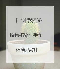 “叶影拾光·植物拓染”手作体验活动