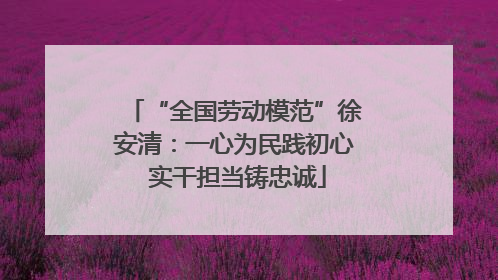 “全国劳动模范”徐安清：一心为民践初心 实干担当铸忠诚
