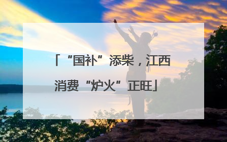 “国补”添柴，江西消费“炉火”正旺