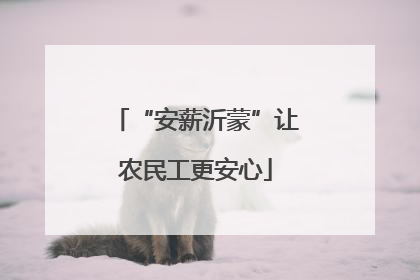 “安薪沂蒙”让农民工更安心