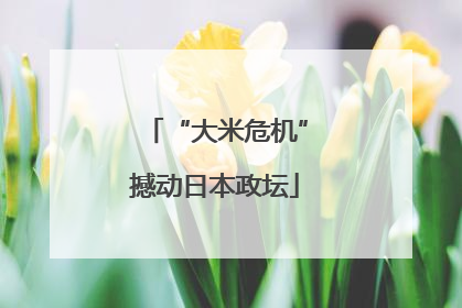 “大米危机”撼动日本政坛