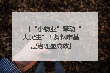 “小物业”牵动“大民生”！舞钢市基层治理显成效