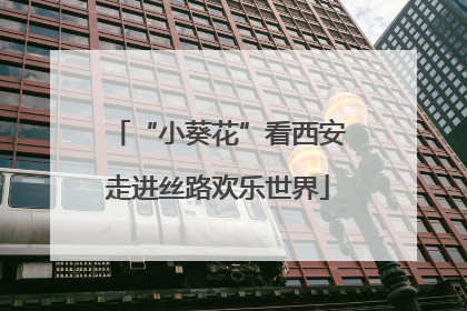“小葵花”看西安走进丝路欢乐世界