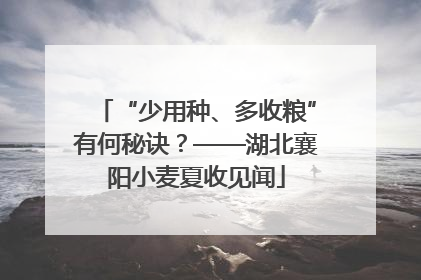 “少用种、多收粮”有何秘诀？——湖北襄阳小麦夏收见闻
