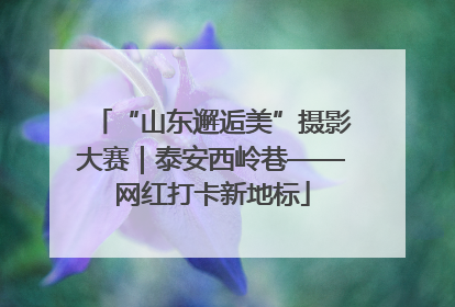 “山东邂逅美”摄影大赛｜泰安西岭巷——网红打卡新地标