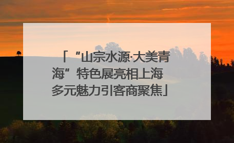“山宗水源·大美青海”特色展亮相上海 多元魅力引客商聚焦