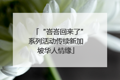 “峇峇回来了”系列活动传续新加坡华人情缘