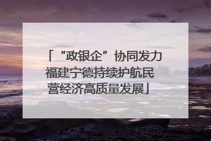 “政银企”协同发力 福建宁德持续护航民营经济高质量发展