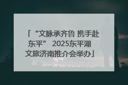 “文脉承齐鲁 携手赴东平” 2025东平湖文旅济南推介会举办
