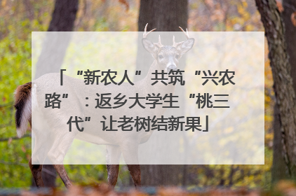 “新农人”共筑“兴农路”：返乡大学生“桃三代”让老树结新果