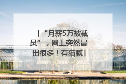“月薪5万被裁员”，网上突然冒出很多！有猫腻