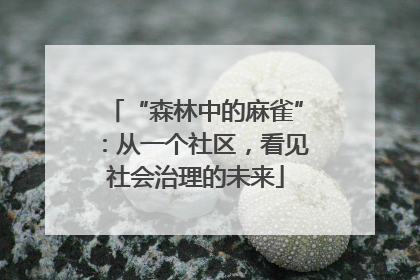 “森林中的麻雀”：从一个社区，看见社会治理的未来