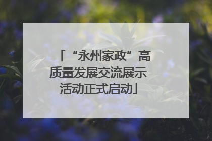 “永州家政”高质量发展交流展示活动正式启动