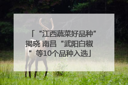 “江西蔬菜好品种”揭晓 南昌“武阳白椒”等10个品种入选