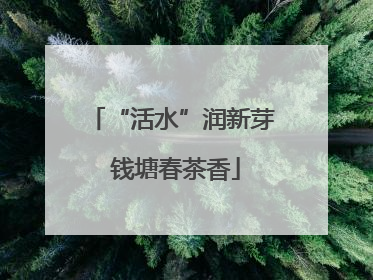 “活水”润新芽 钱塘春茶香