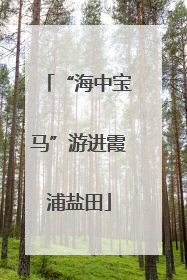 “海中宝马”游进霞浦盐田