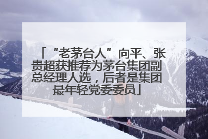 “老茅台人”向平、张贵超获推荐为茅台集团副总经理人选，后者是集团最年轻党委委员
