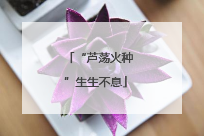 “芦荡火种”生生不息