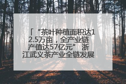 “茶叶种植面积达12.5万亩，全产业链产值达57亿元” 浙江武义茶产业全链发展“加速度”