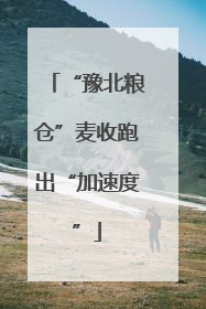 “豫北粮仓”麦收跑出“加速度”
