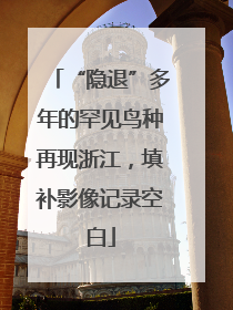 “隐退”多年的罕见鸟种再现浙江，填补影像记录空白