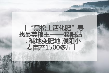 “黑松土活化肥”寻找最美粮王——濮阳站：碱地变肥地 濮阳小麦亩产1500多斤