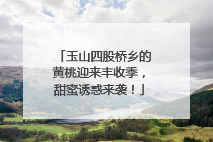 玉山四股桥乡的黄桃迎来丰收季，甜蜜诱惑来袭！