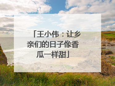 王小伟：让乡亲们的日子像香瓜一样甜